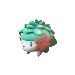 #492 Shaymin(Land)